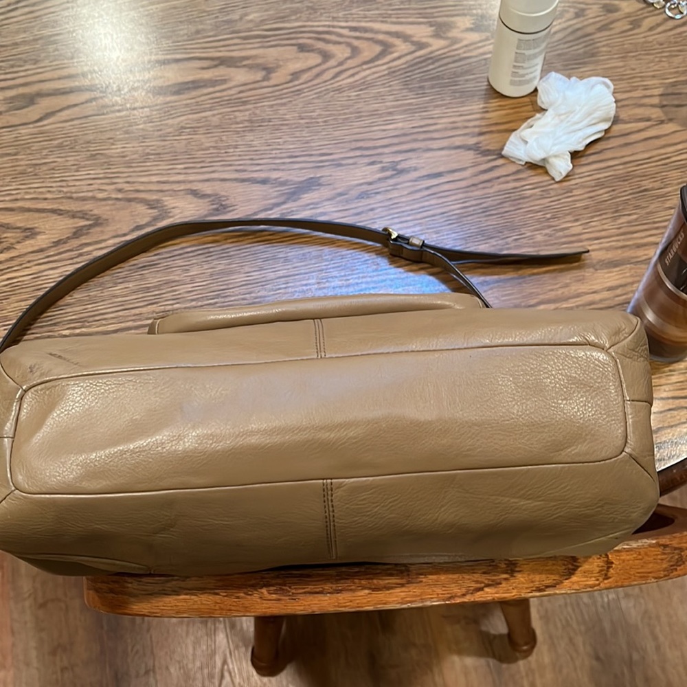 Coach Izzy - image 7